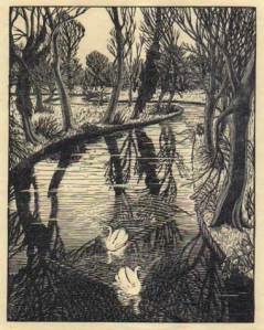 Swans (colour wood engraving, Gwen Raverat)